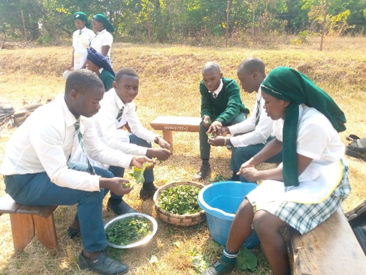 Vegetable preservation practice